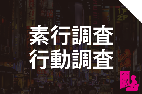 素行調査、行動調査の詳細ページへ