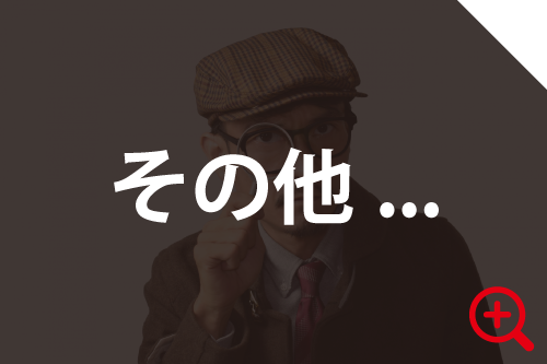 その他の調査の詳細ページへ