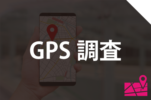 GPS調査の詳細ページへ