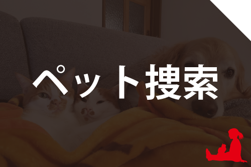 ペット捜索の詳細ページへ